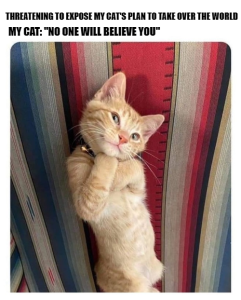 Stupid Bar Memes 54a6430a6f005190
