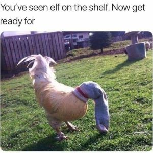 Stupid Bar Memes 5570c0ff7b72643a