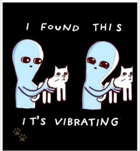 Stupid Bar Memes 59cc6225de7344f0
