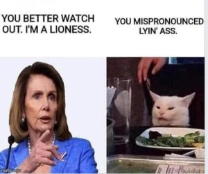 Stupid Bar Memes 743579829733dcd8
