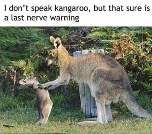 Stupid Bar Memes 75299a8275ee6a8b