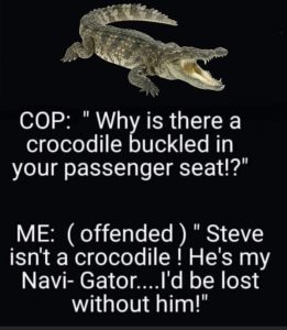 Stupid Bar Memes 79c5e34a201becc2