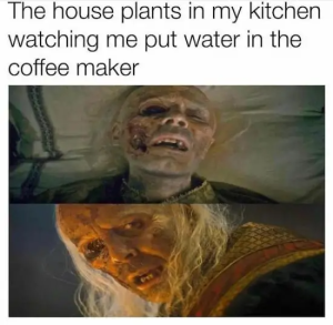 Stupid Bar Memes 7GhjkpD