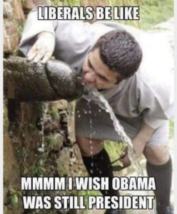 Stupid Bar Memes 7a7e561b0b874742