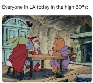 Stupid Bar Memes 7bd65dae6c75fae2
