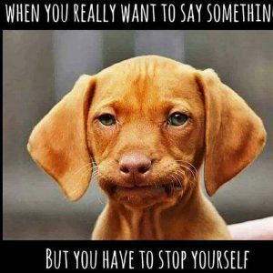 Stupid Bar Memes 7e5db1408f8052c2