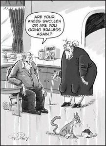 Stupid Bar Memes 7f8efd5eed3047f7