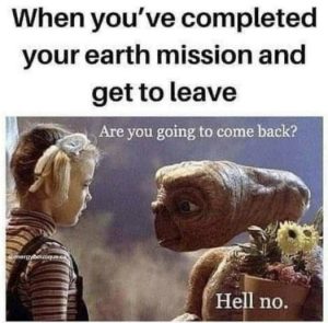 Stupid Bar Memes 7fdec4d0487651ad