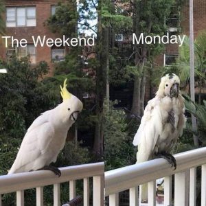 Stupid Bar Memes 87282318