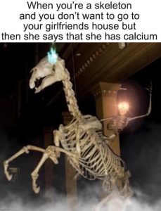Stupid Bar Memes 87283358
