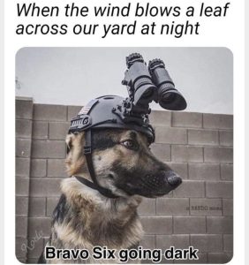 Stupid Bar Memes 87cadd98e14390bb
