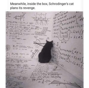 Stupid Bar Memes 891e3d990846e086