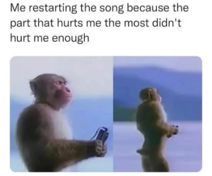 Stupid Bar Memes 8dFgPIB