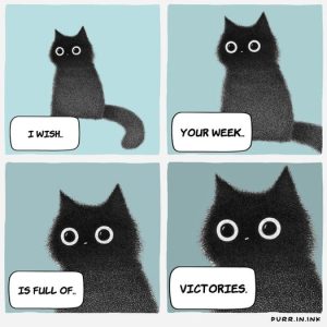Stupid Bar Memes 8e71e0945b983ccf