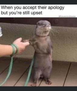 Stupid Bar Memes 9163258bcb082f29