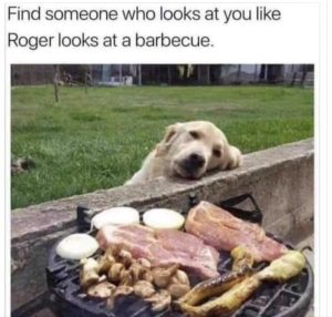 Stupid Bar Memes 97fefbec08fec0e1