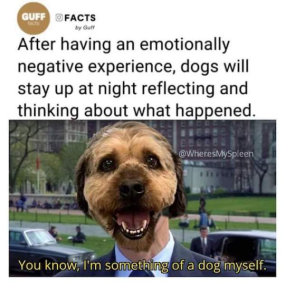 Stupid Bar Memes FBsIMGs1665365708204