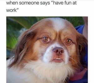 Stupid Bar Memes a1f0d14dca0f0eb5