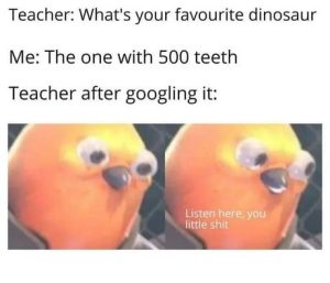Stupid Bar Memes a4odOBAs460s 1