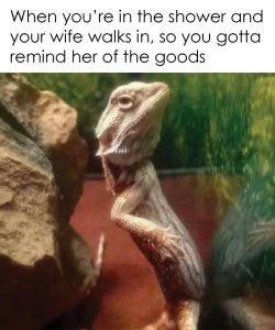 Stupid Bar Memes a6qy6ALs700b