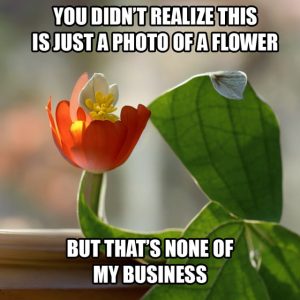 Stupid Bar Memes a8qYNMds700b