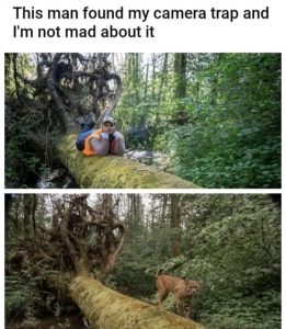 Stupid Bar Memes a9qLVzms700b