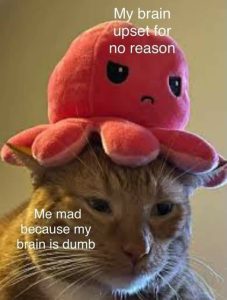 Stupid Bar Memes af3f59d6fa906862