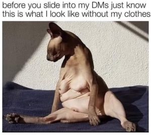 Stupid Bar Memes b485aa82aacc8a58
