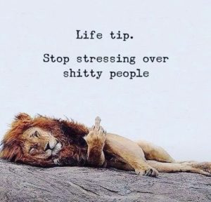 Stupid Bar Memes bcc6fde8c4d7090e