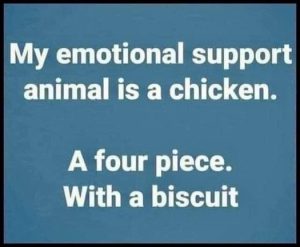Stupid Bar Memes c65782d314d93453