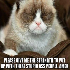 Stupid Bar Memes d024c1dc2ab80b583f65d2df796e1459