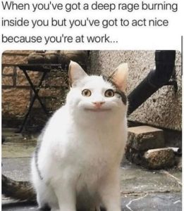 Stupid Bar Memes d33d26a3ca3fc032