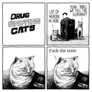 Stupid Bar Memes d42424c8e13164fb