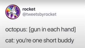 Stupid Bar Memes d61b81db29768113