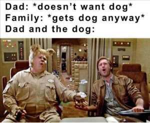 Stupid Bar Memes d6f4dd25ab4b56f7254576f58f7553a5