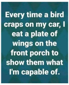 Stupid Bar Memes d85ed9e1bdbbd224