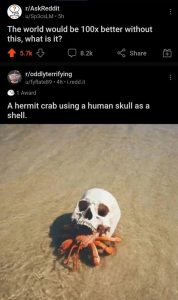 Stupid Bar Memes da026eafe9b72121