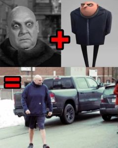 Stupid Bar Memes da0cf7625a712816