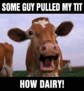 Stupid Bar Memes da24be3921c5c79c