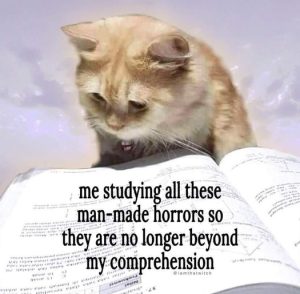 Stupid Bar Memes dd897914e02abc86