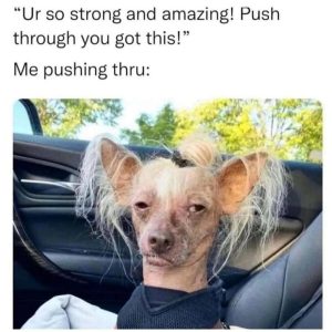 Stupid Bar Memes e918d4deef3418e7
