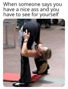 Stupid Bar Memes f160be2197a71656dcd7dcac4a58006cswidths600