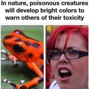Stupid Bar Memes f16bd02709c12b88