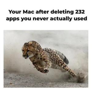 Stupid Bar Memes f2f2c9abdfe383b6e835fa42edfdf2d3swidths600