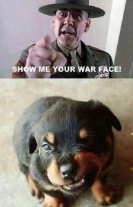 Stupid Bar Memes f3f8558bff216c1b