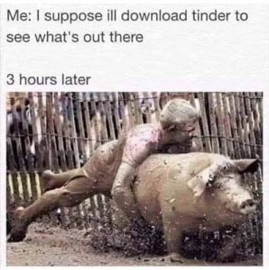 Stupid Bar Memes f604523b704d43cc