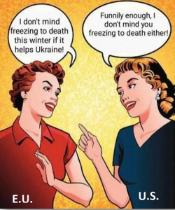 Stupid Bar Memes f820a99c9aa3d403