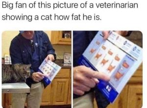 Stupid Bar Memes f969e839d0b02043