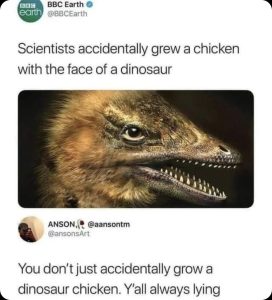 Stupid Bar Memes f9835208b5a2fe9b