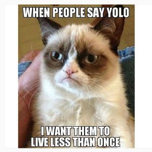 Stupid Bar Memes grumpyscatsmemes051.jpg.optimal